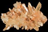 Tangerine Quartz Crystal Cluster - Madagascar #156962-4